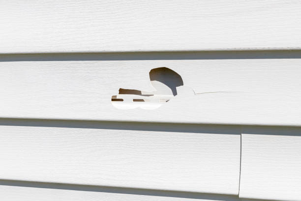 Best Siding Painting and Refinishing  in New Albany, IN