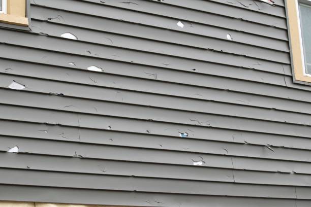 Best Insulated Siding Installation  in New Albany, IN